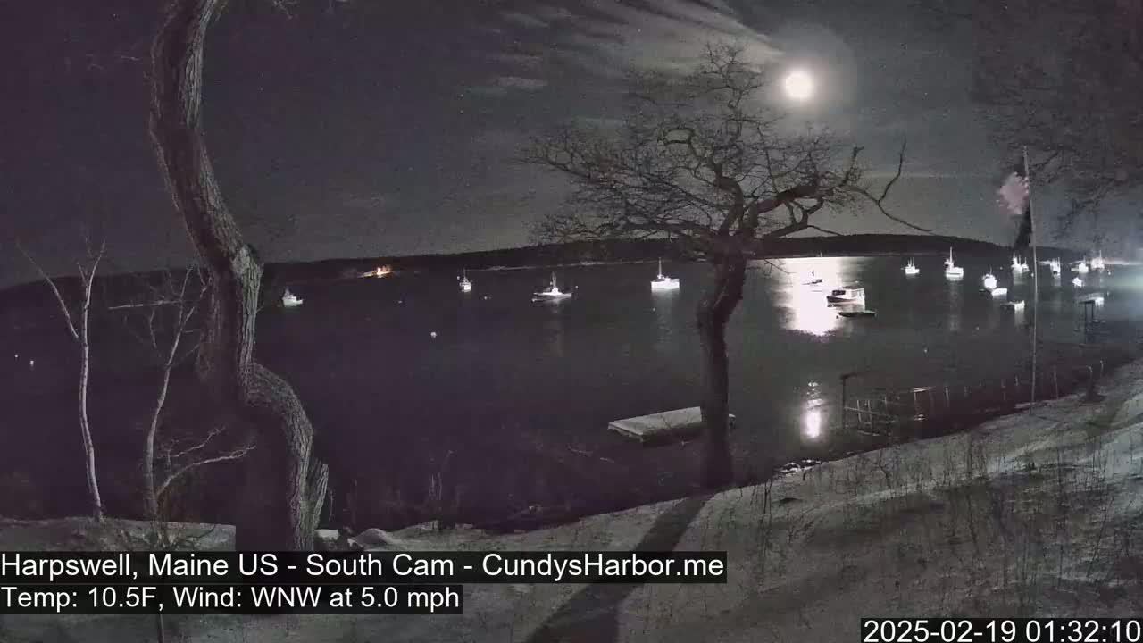 A moonlit harbor scene at night shows numerous boats moored in calm water, under a partly cloudy sky with a bright moon, viewed from a snow-covered shoreline with a tree in the foreground.
