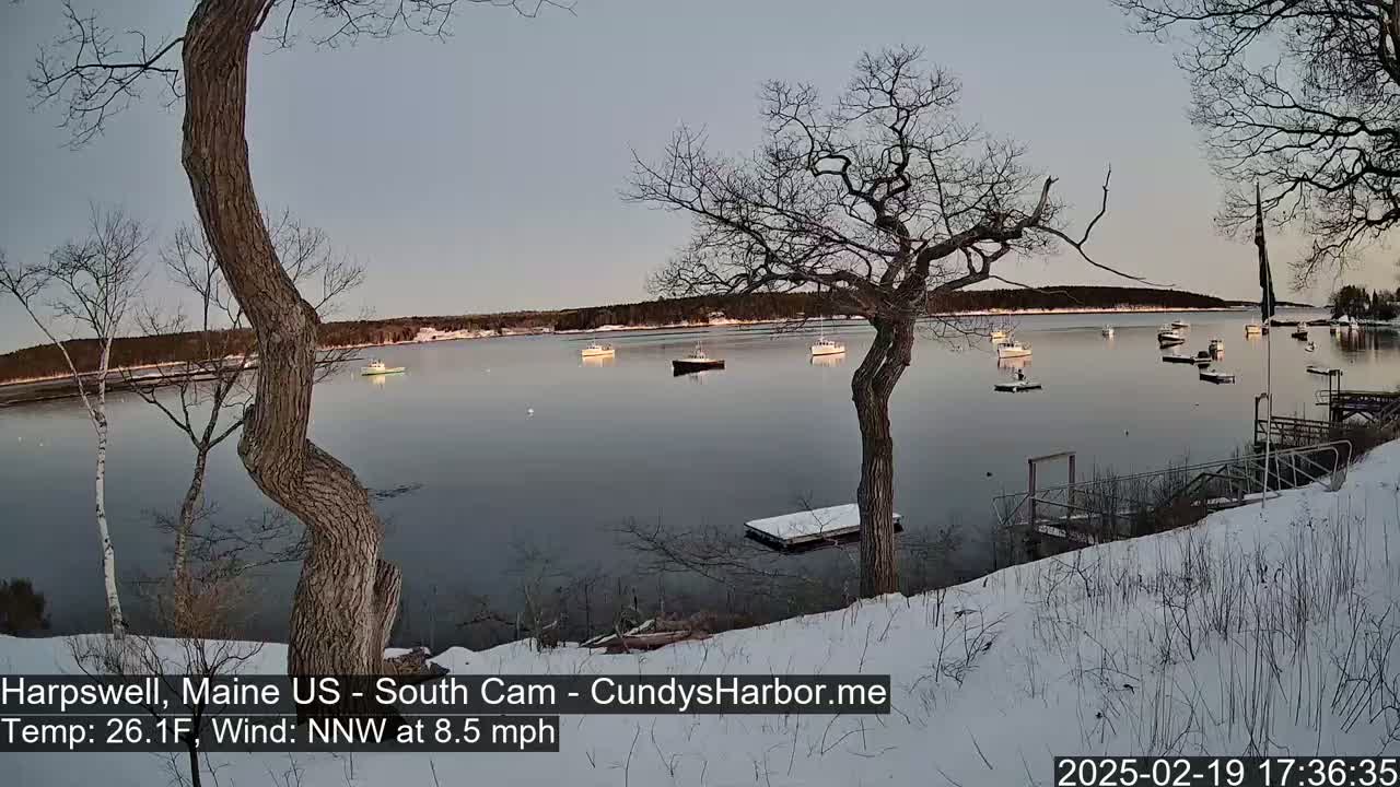 Several boats are moored in a calm harbor under a twilight sky, with a snow-covered shoreline and bare trees in the foreground.