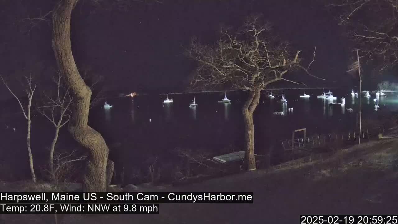 A nighttime view from a shoreline shows numerous boats moored on calm water under a dark sky, with bare trees in the foreground.