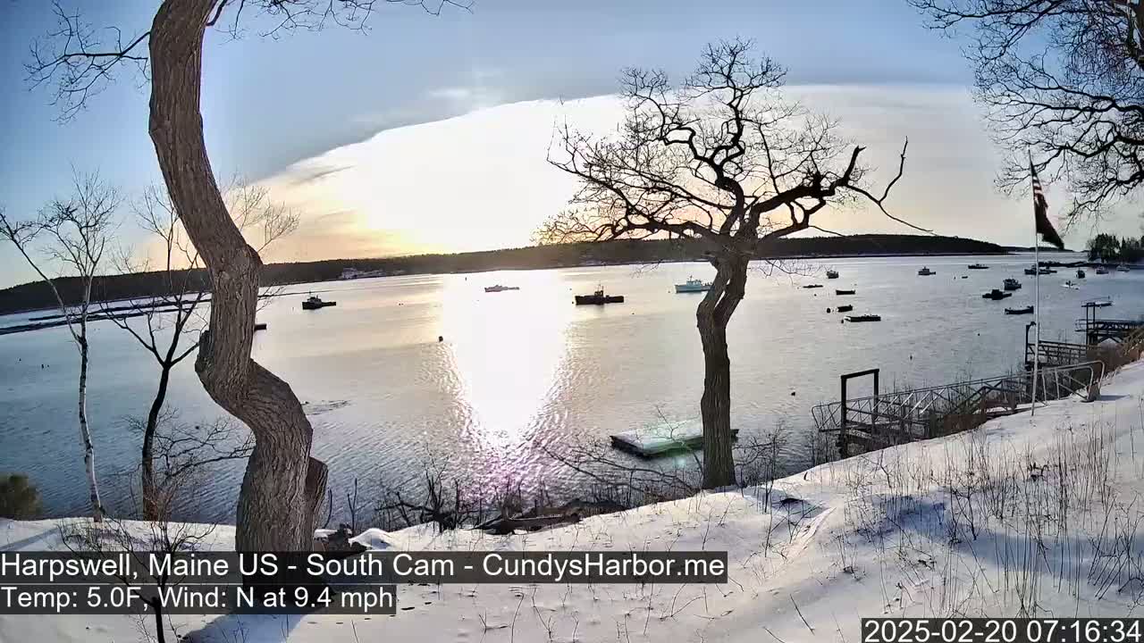 A snow-covered shoreline with bare trees overlooks a calm bay containing several small boats, under a partly sunny sky.