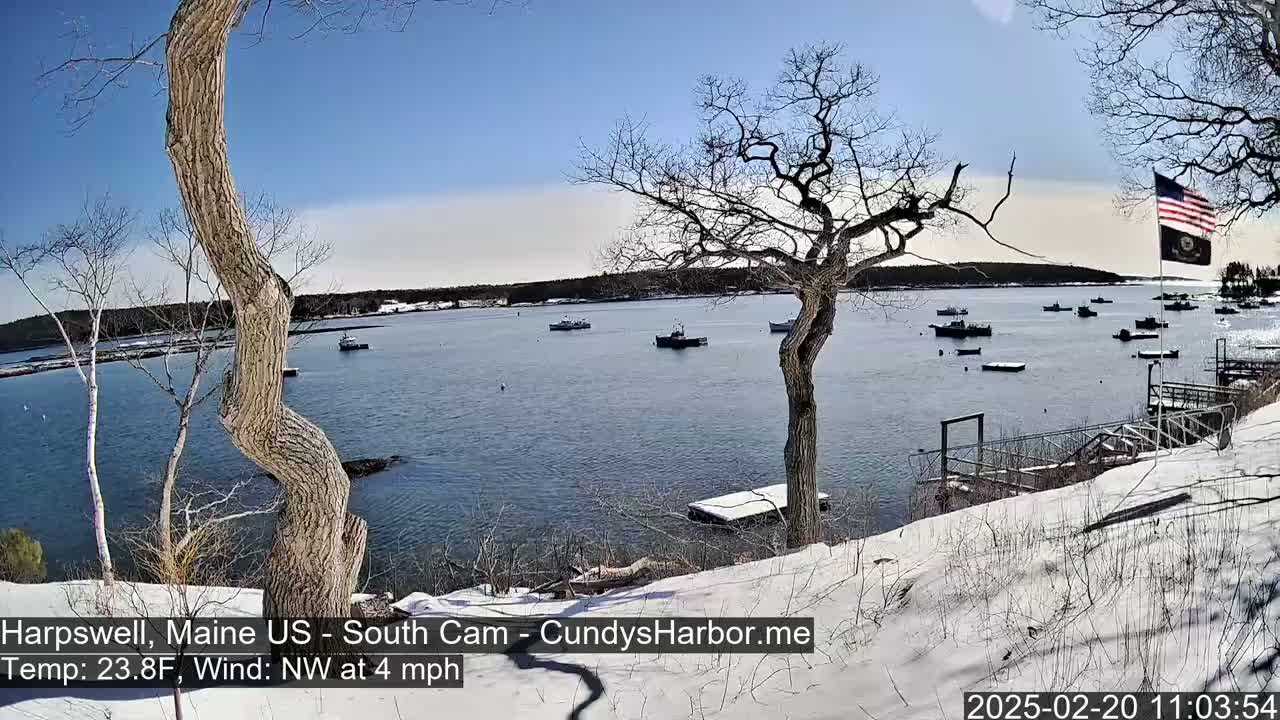 A snow-covered shoreline overlooks a calm bay with several small boats, under a clear blue sky.
