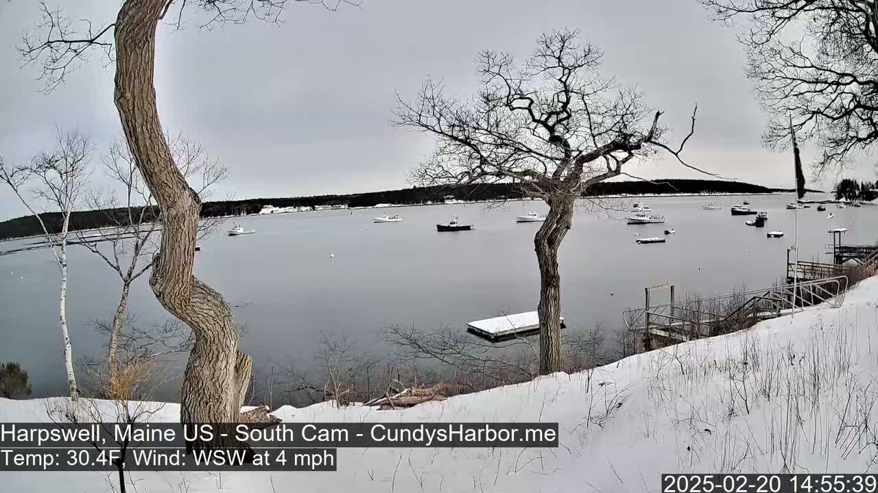 A snow-covered shoreline with several boats on a calm, gray harbor under an overcast sky.