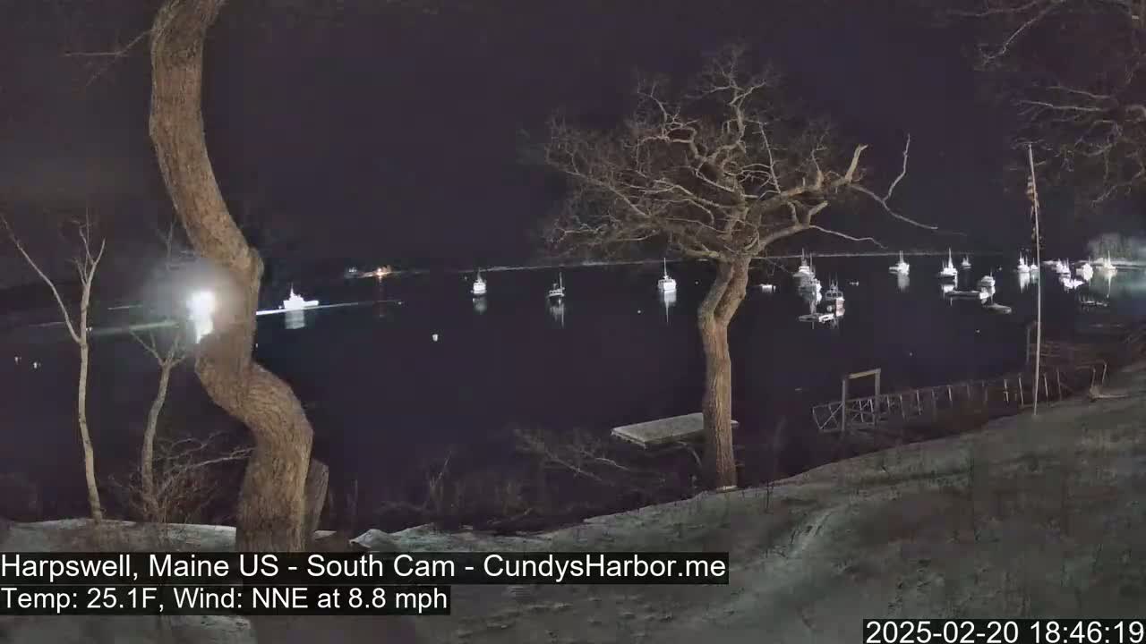 A nighttime view of a calm harbor with numerous boats at anchor, seen from a snow-covered shoreline under a dark sky.