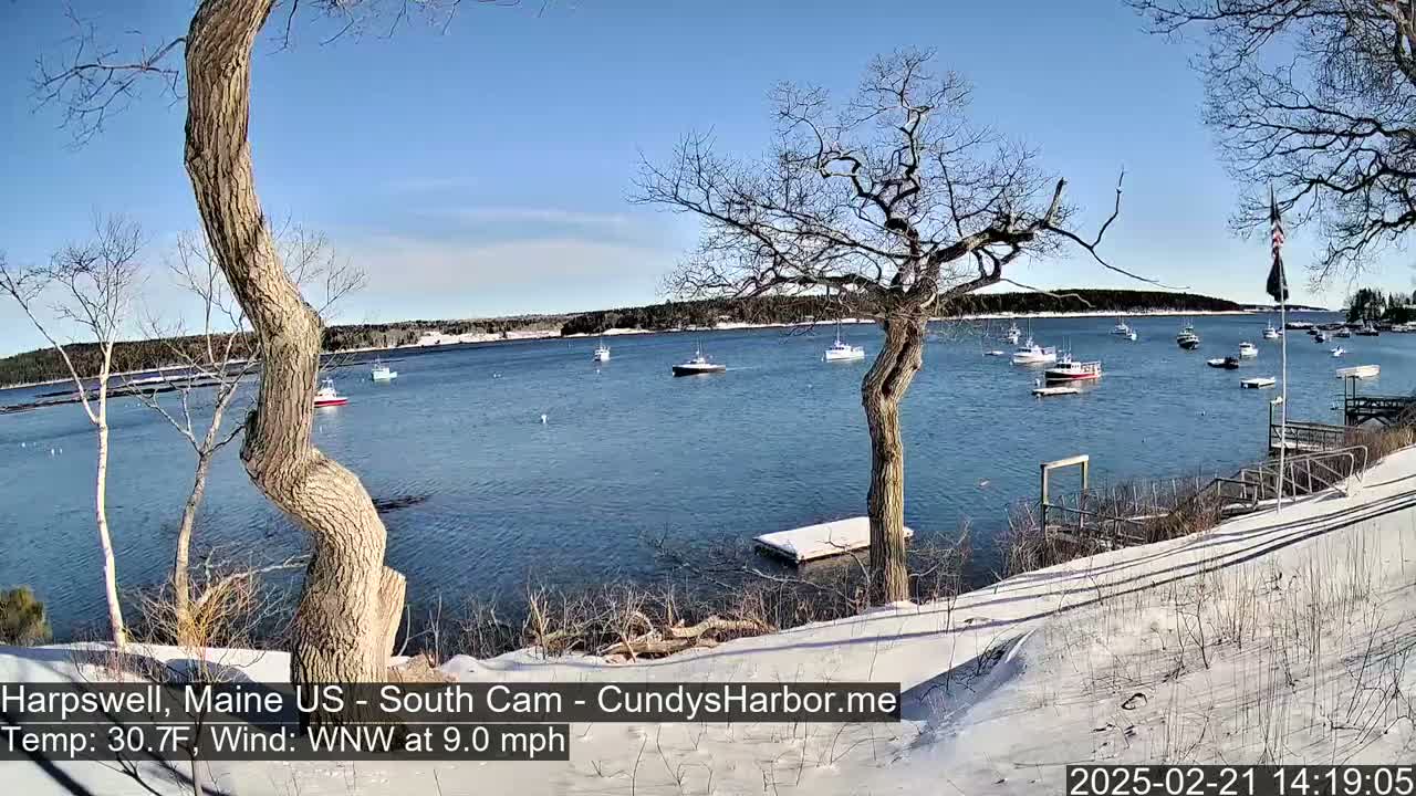 A snow-covered shoreline with bare trees overlooks a calm bay containing several small boats under a clear blue sky.