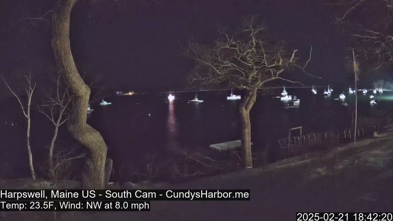 A nighttime view of a harbor with numerous boats at anchor under a clear, dark sky, with bare trees in the foreground.