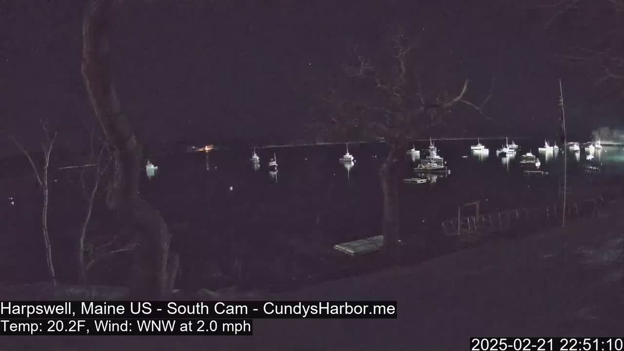 Several boats are moored in a dark, calm harbor at night under a clear, starry sky.