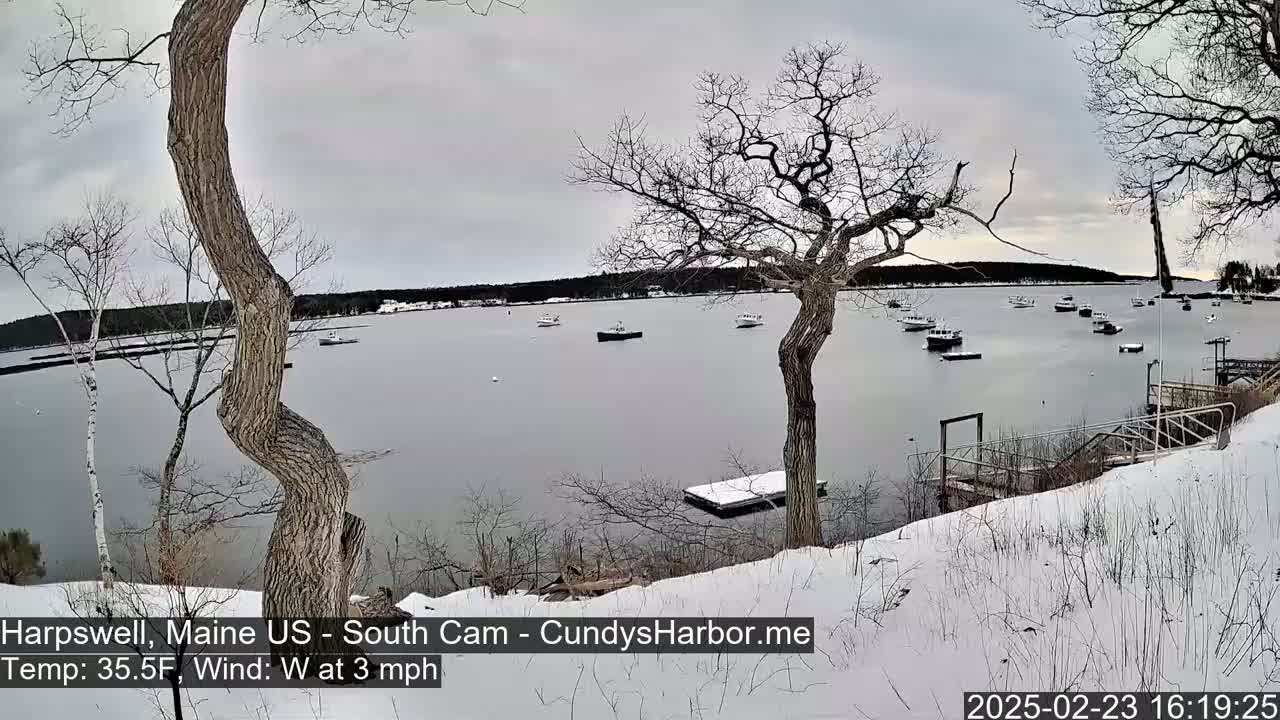 A snow-covered shoreline overlooks a calm bay with several boats, under a cloudy sky.