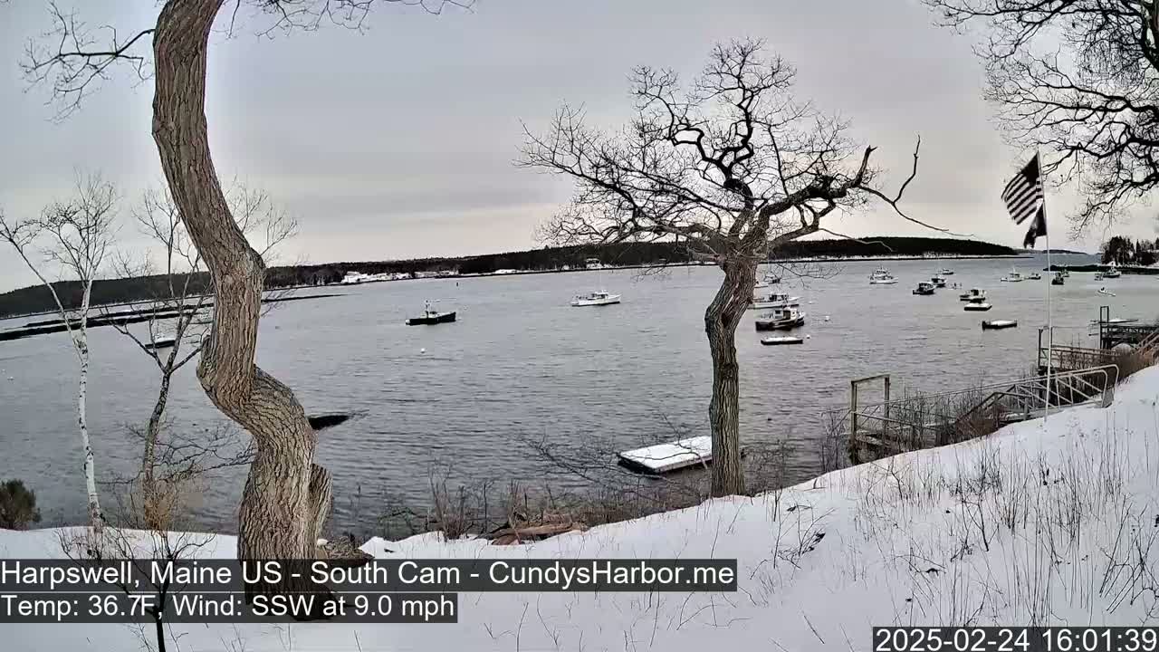 A snow-covered shoreline with several boats in a calm body of water under an overcast sky.