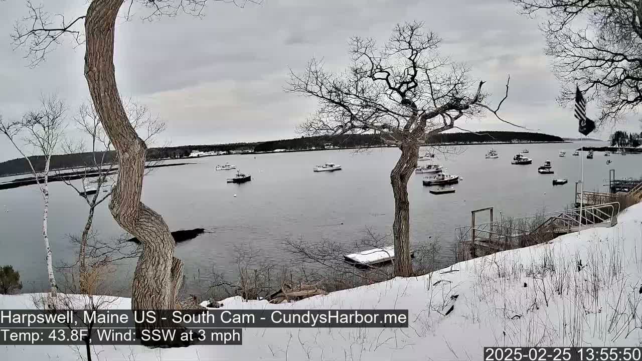 A snow-covered shoreline with bare trees overlooks a calm bay containing several boats under an overcast sky.