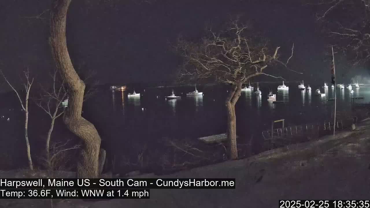 At night, numerous boats are moored in calm water under a dark sky, viewed from a shoreline with bare trees.