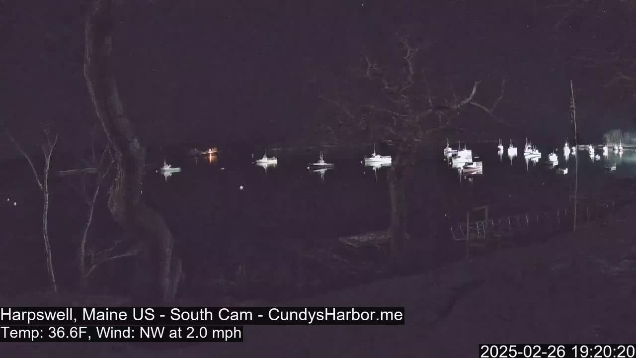 Several boats are moored in a dark, calm harbor at night under a clear sky.