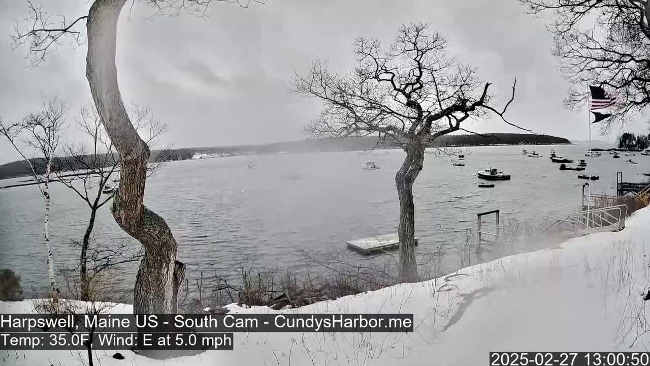 A snow-covered shoreline with leafless trees overlooks a calm body of water containing several small boats under a gray, overcast sky.