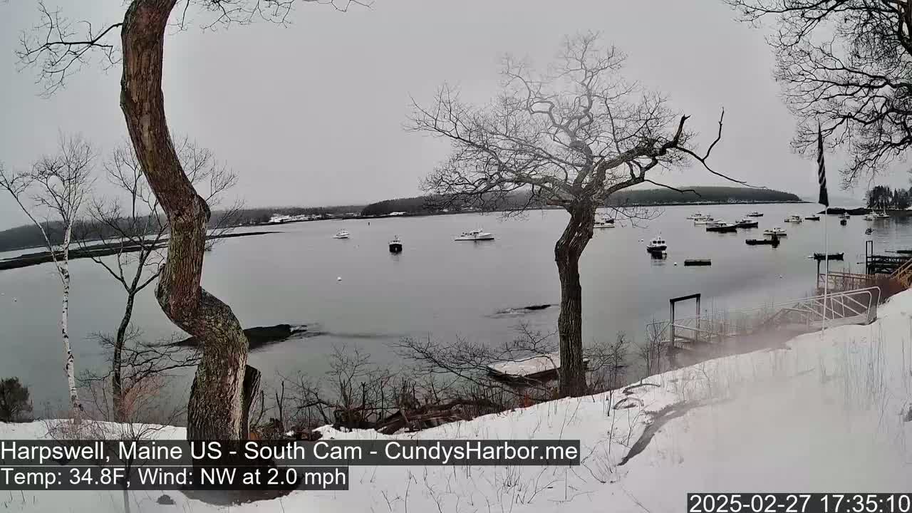A snow-covered shoreline with bare trees overlooks a calm bay containing several boats under an overcast sky.