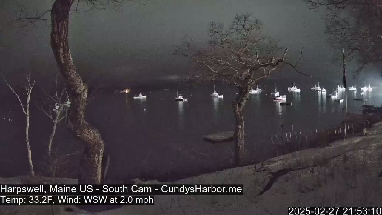 Numerous boats are moored in a dark, calm harbor at night under a cloudy sky.
