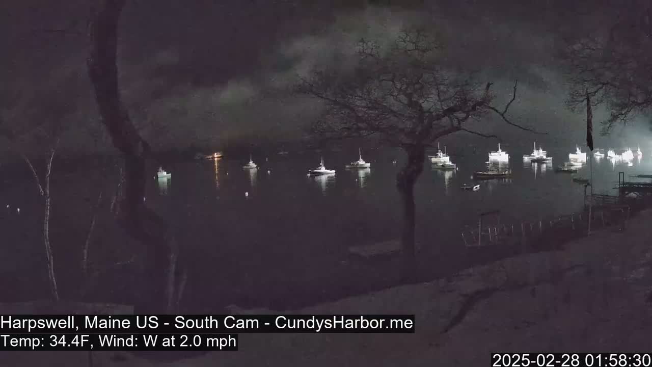 At night, under a dark, cloudy sky, several boats are moored in a calm harbor, viewed from a dark shoreline with bare trees.