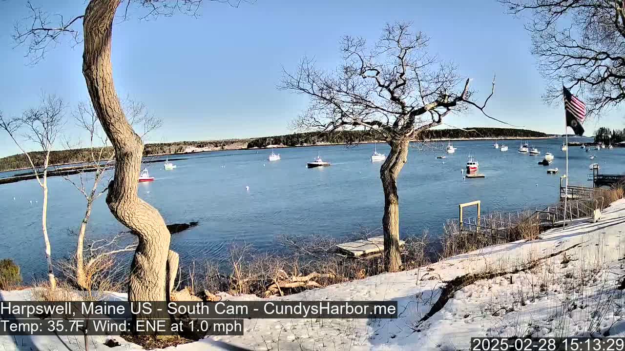 A snow-covered shoreline with several bare trees overlooks a calm bay containing numerous small boats under a clear blue sky.