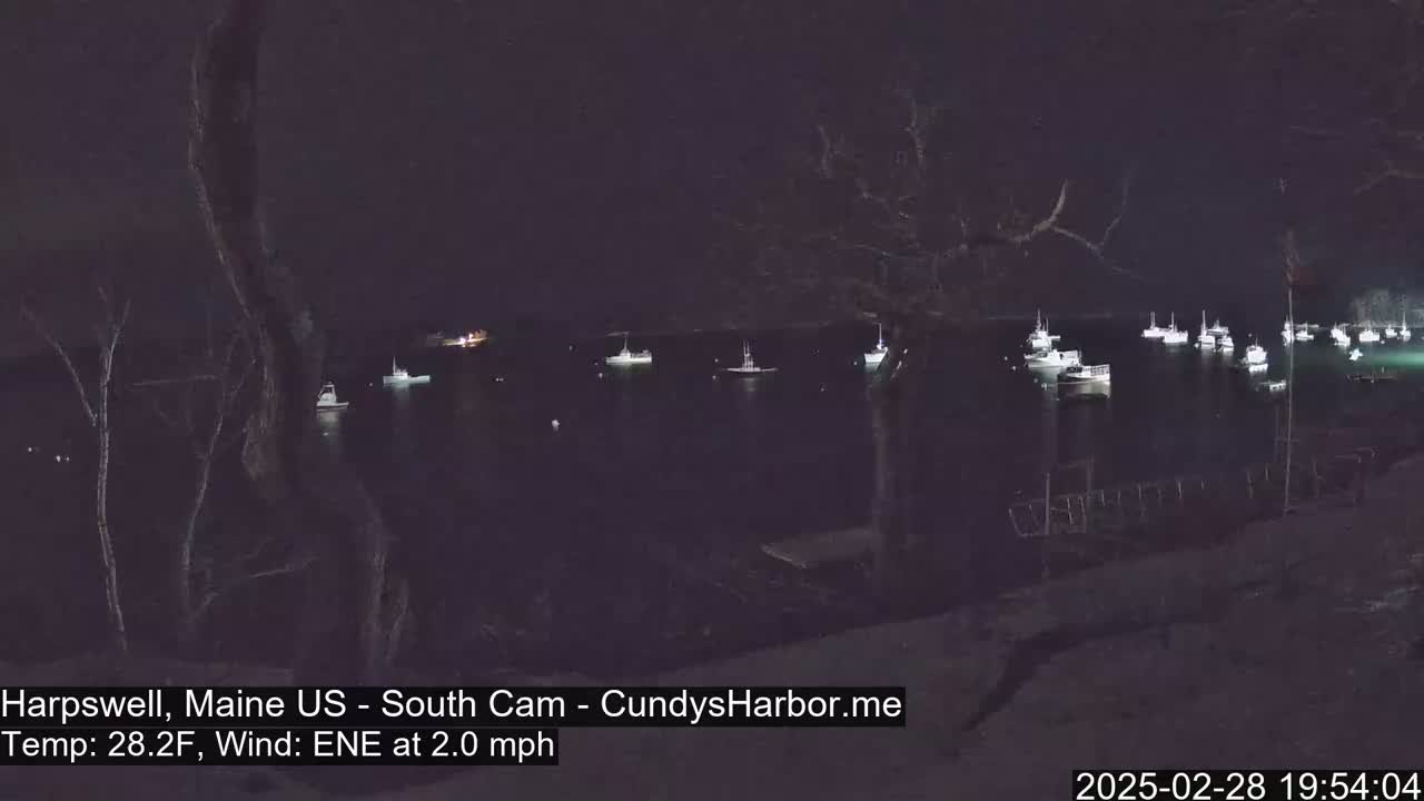 Numerous boats are moored in a dark body of water at night under a clear sky, with a light wind.
