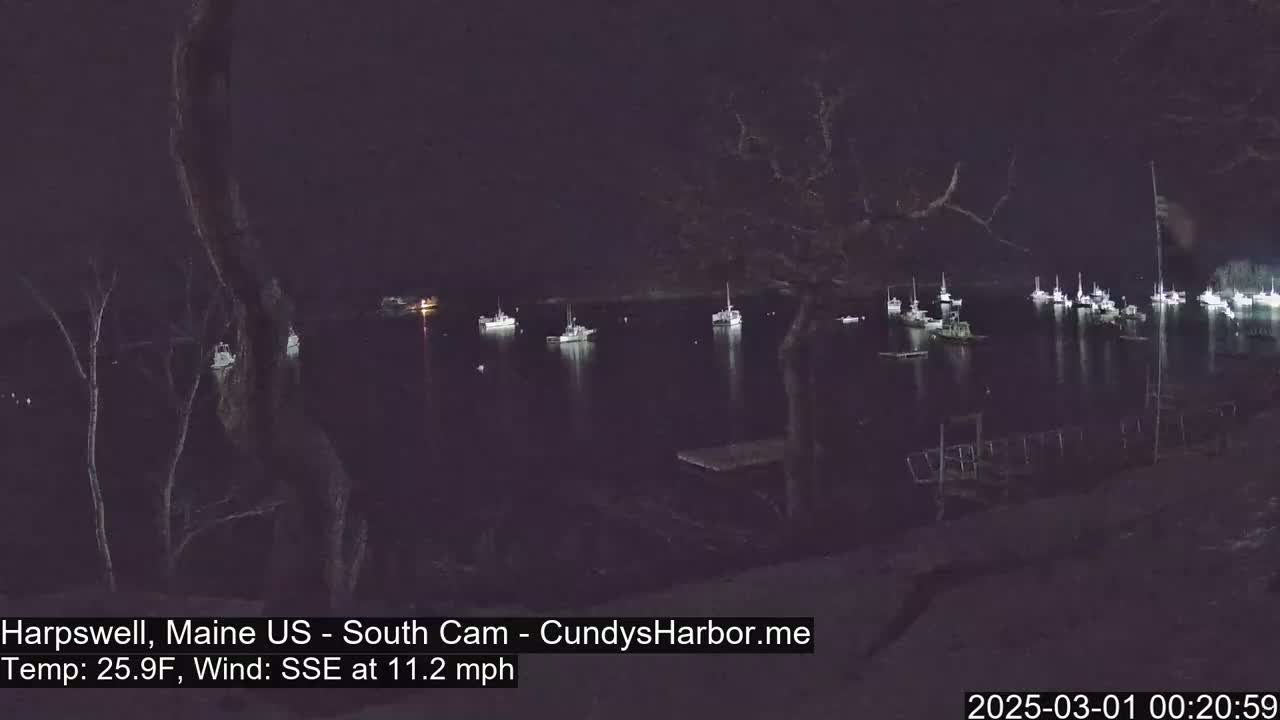 A nighttime view of numerous boats moored in a calm harbor under a dark sky.