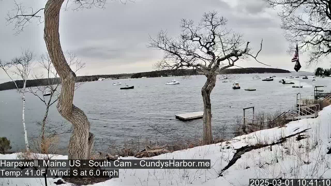 A snow-covered shoreline with several boats in a calm, gray-sky harbor.
