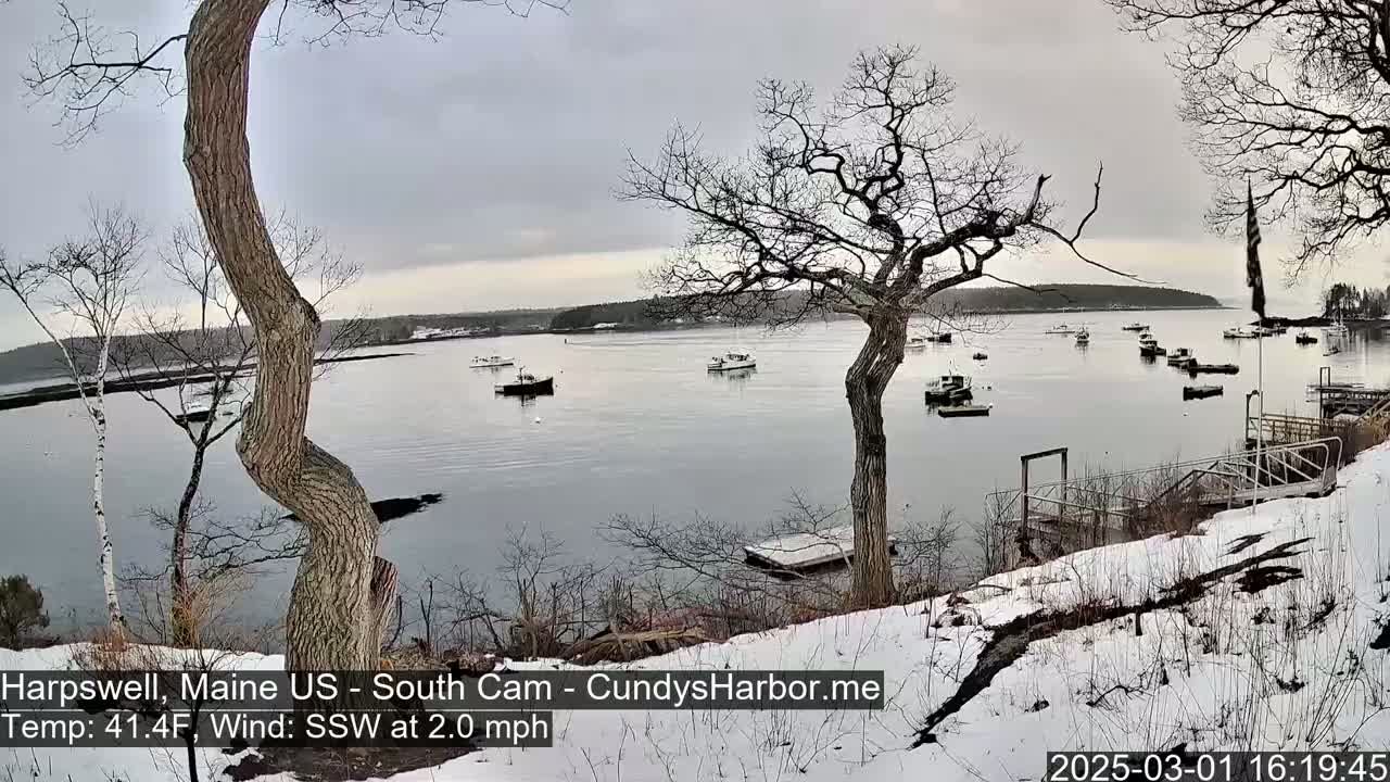 A snow-covered shoreline overlooks a calm bay with numerous small boats, under an overcast sky.