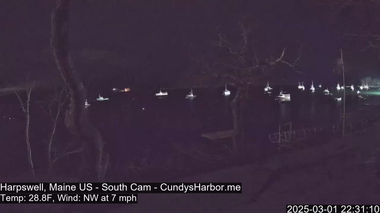 Numerous boats are moored in a dark harbor at night under a clear sky, with a northwest wind blowing at 7 mph and a temperature of 28.8°F.
