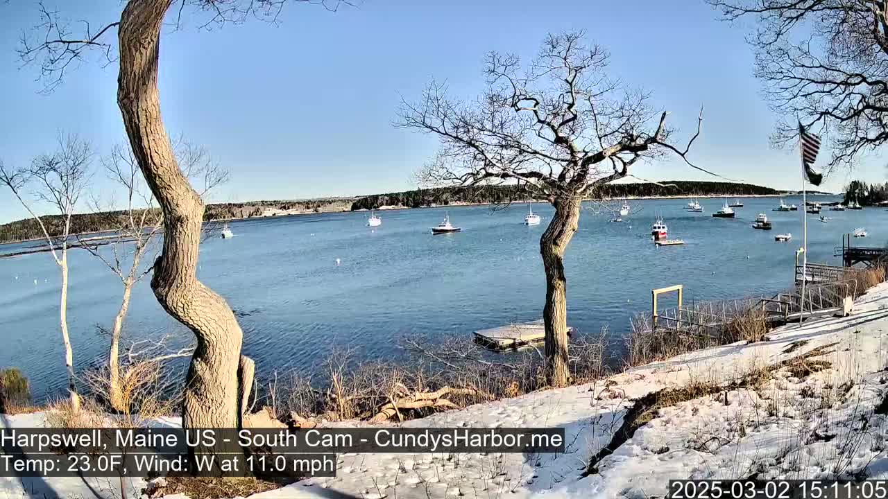 A snow-dusted shoreline with leafless trees overlooks a calm bay with several boats on a sunny day.