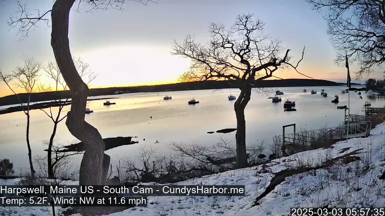 Several boats are moored in a calm harbor at sunset, with a snowy shoreline and bare trees under a clear sky.