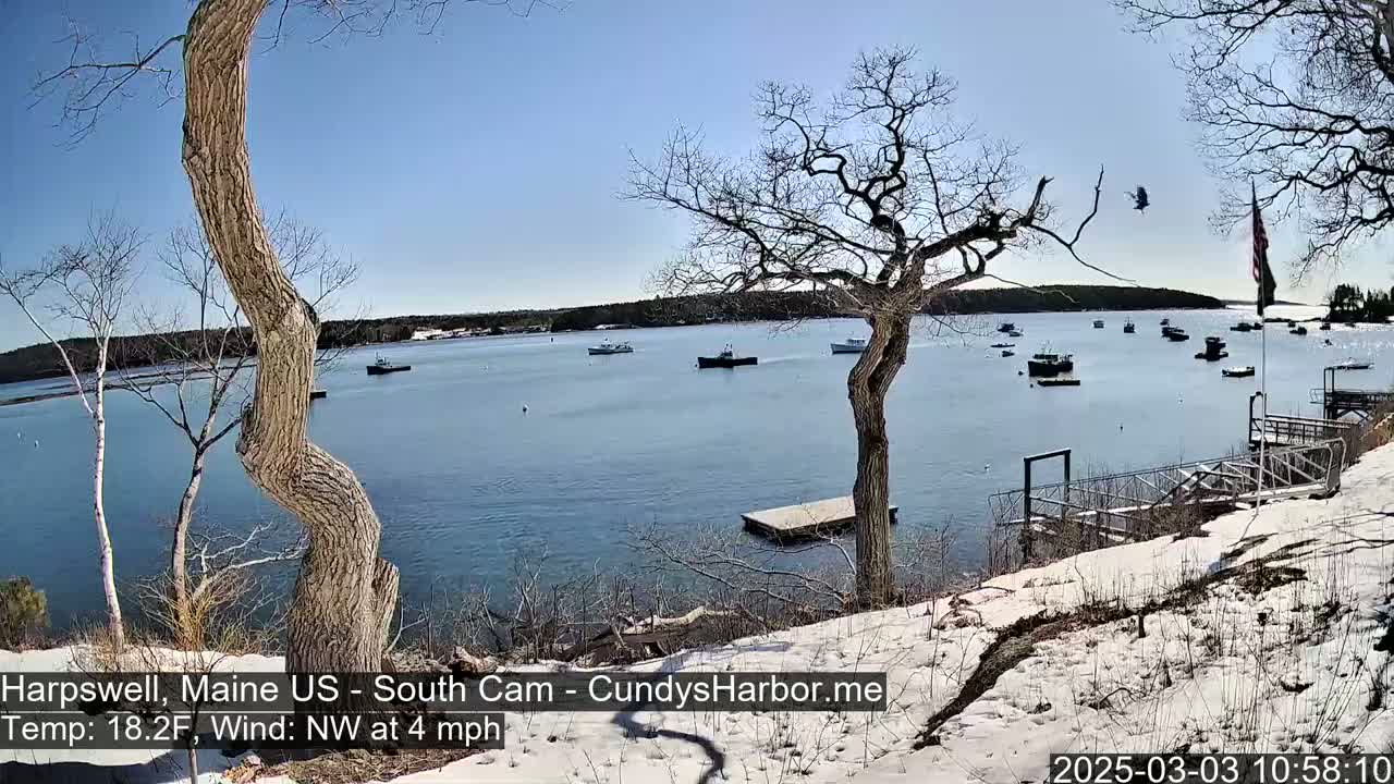 A partly sunny day with snow on the ground overlooks a calm bay with several boats and a dock.