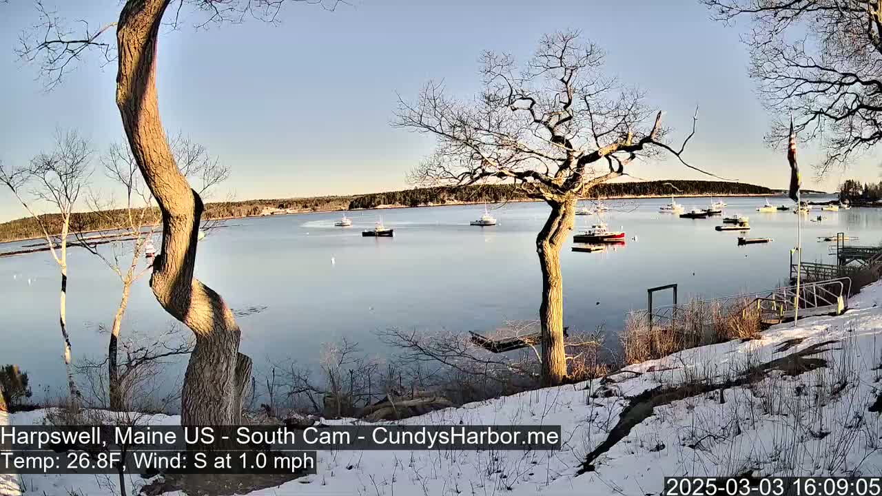 A snow-covered shoreline with leafless trees overlooks a calm body of water where several small boats are moored under a clear, bright sky.