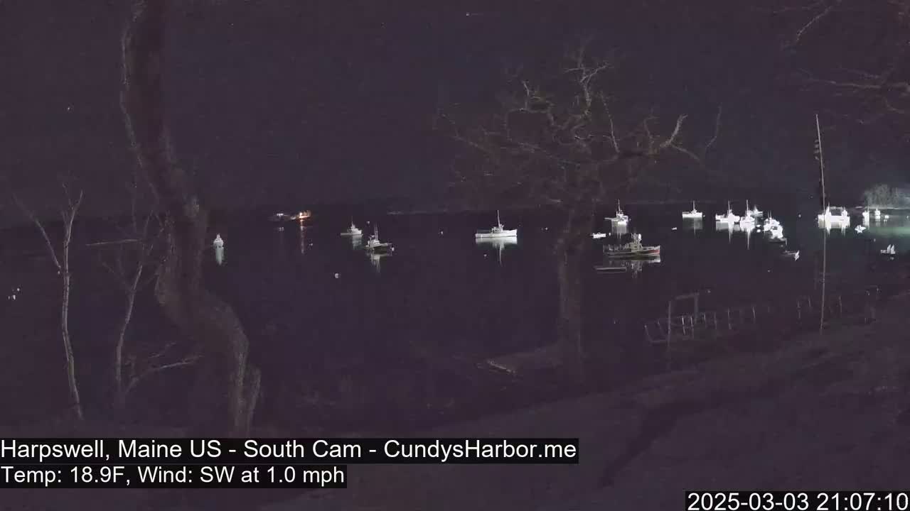 Several boats are moored in a dark, calm harbor at night under a clear sky.