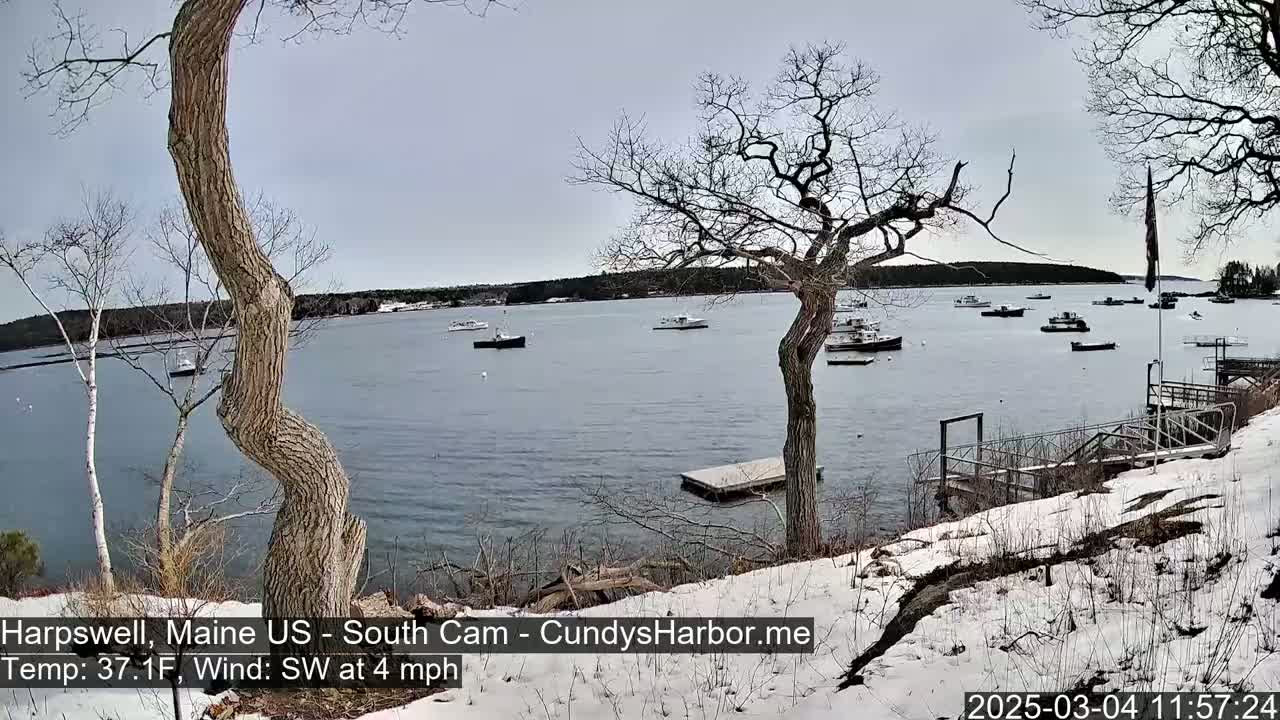 A snow-dusted shoreline with several boats on calm water under a cloudy sky.