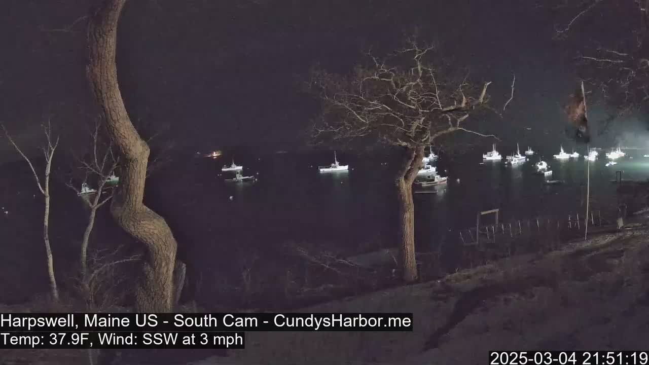 A nighttime view of a harbor with numerous boats at anchor, seen from a shoreline with bare trees under a dark sky and a light wind.