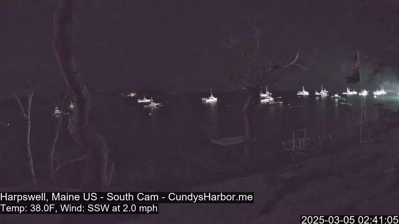 A nighttime view of numerous boats moored in a dark body of water under a clear, dark sky with a light south-southwesterly wind.