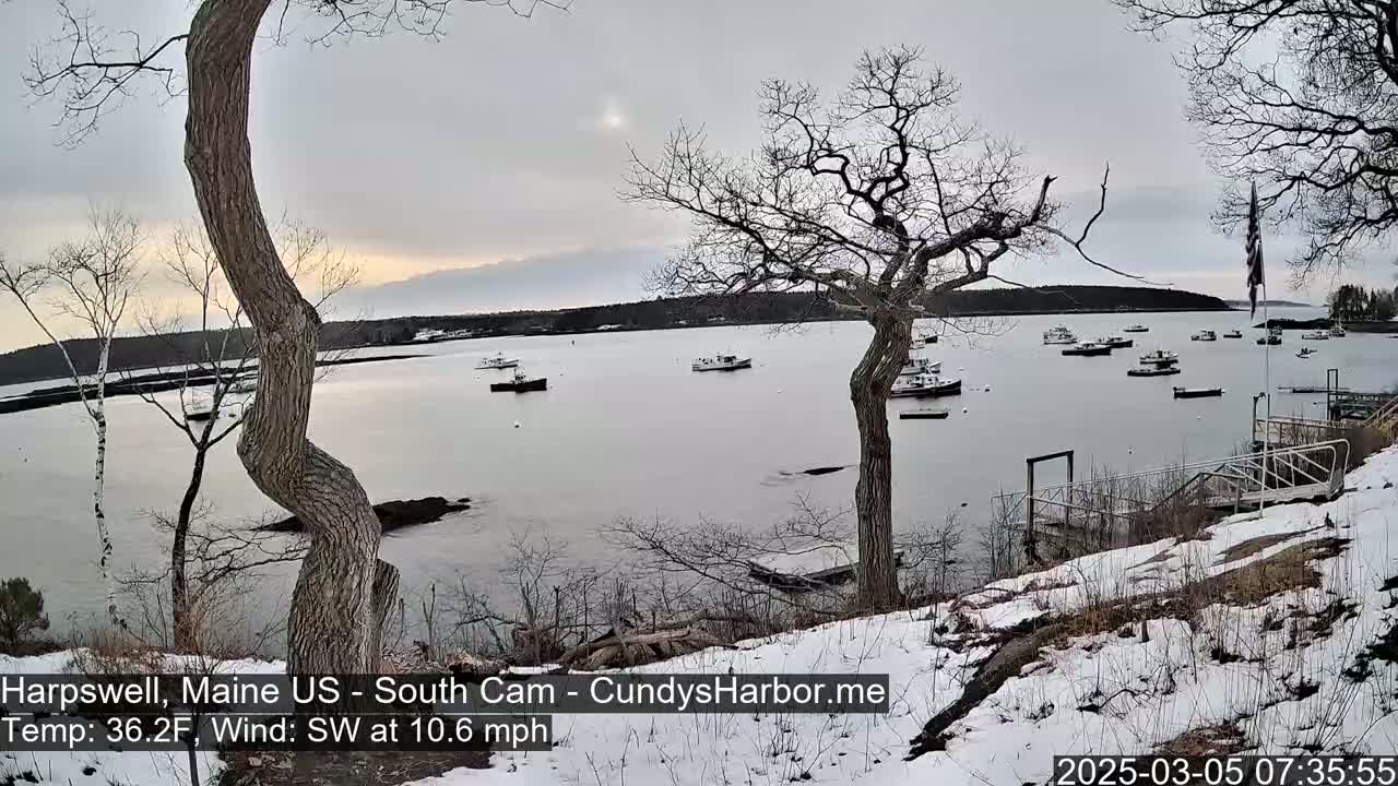 A snow-covered shoreline with leafless trees overlooks a calm bay containing numerous small boats under an overcast sky.