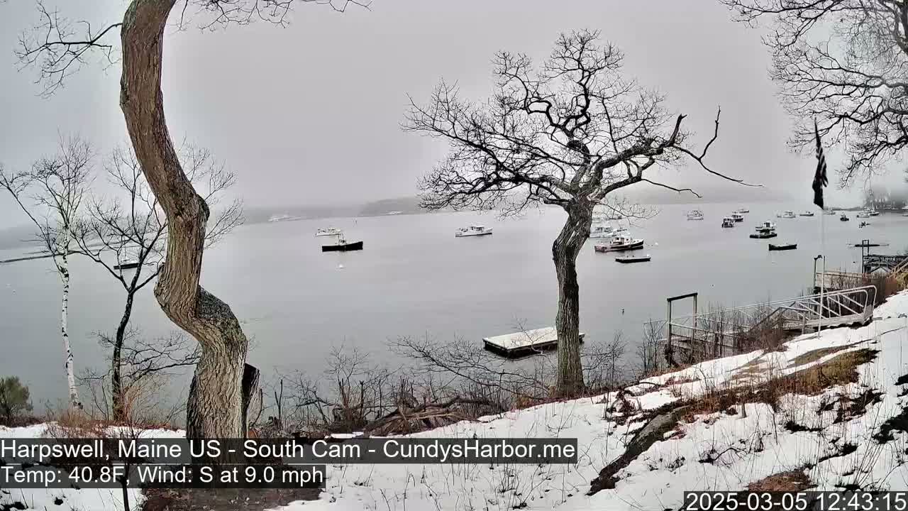 A snowy shoreline with leafless trees overlooks a calm bay containing several small boats in overcast weather.