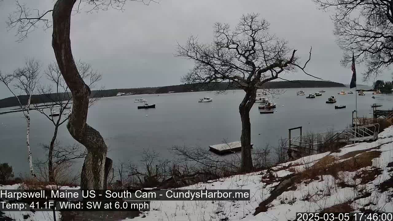 A snow-dusted shoreline with bare trees overlooks a calm bay containing numerous small boats under an overcast sky.