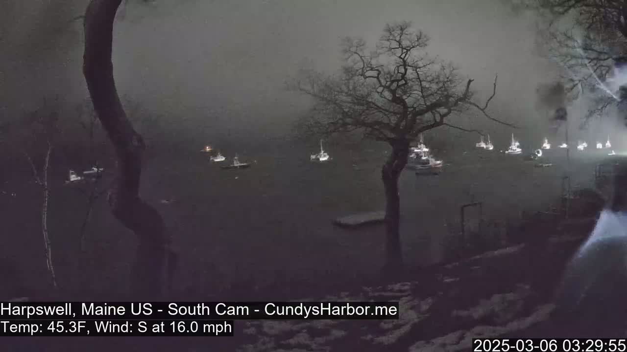 A nighttime view of a harbor with numerous boats, under a dark, overcast sky, with a slight dusting of snow on the ground.