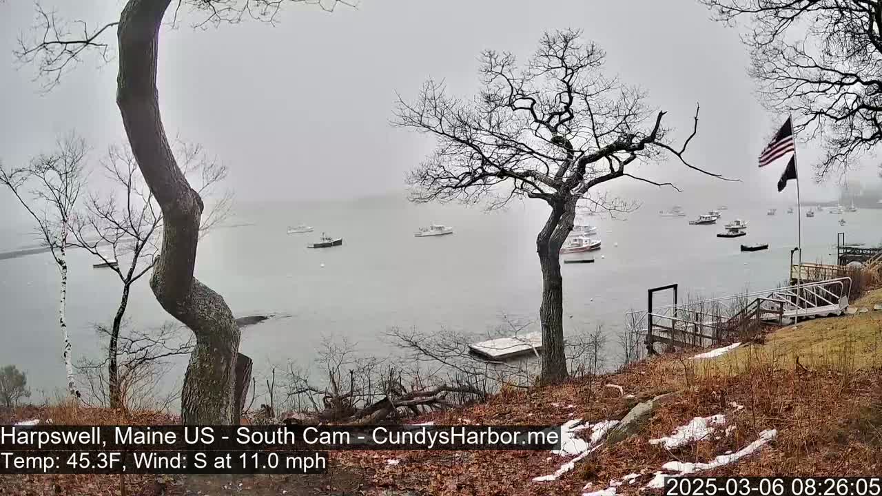 A foggy, overcast day shows several boats on calm water, viewed from a snow-dusted shoreline with bare trees and a wooden dock.