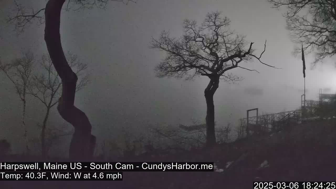 Silhouetted trees stand against a foggy, overcast sky, with a hint of a structure visible in the distance.