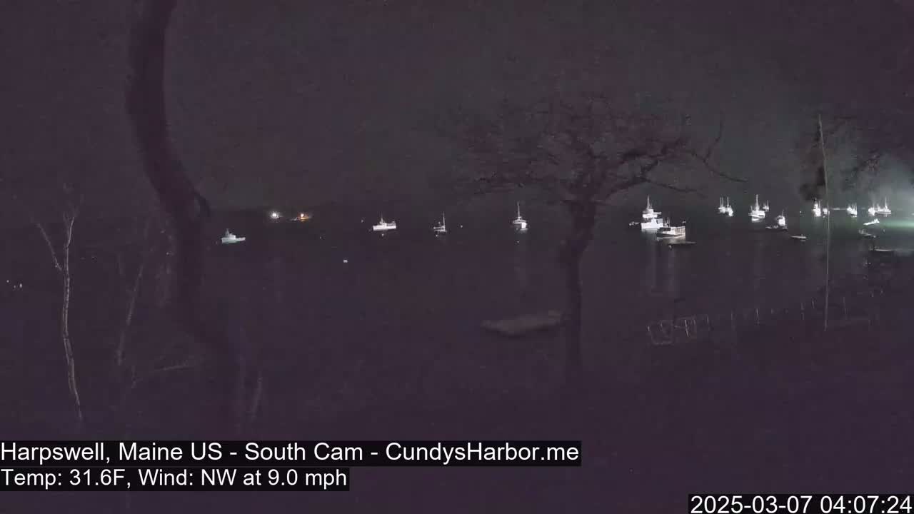 Numerous boats are moored in a dark harbor at night under a dark, clear sky with a northwest wind.