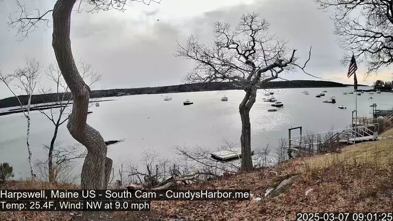 A calm, overcast day shows several boats moored in a harbor, viewed from a grassy shoreline with bare trees and a small dock.