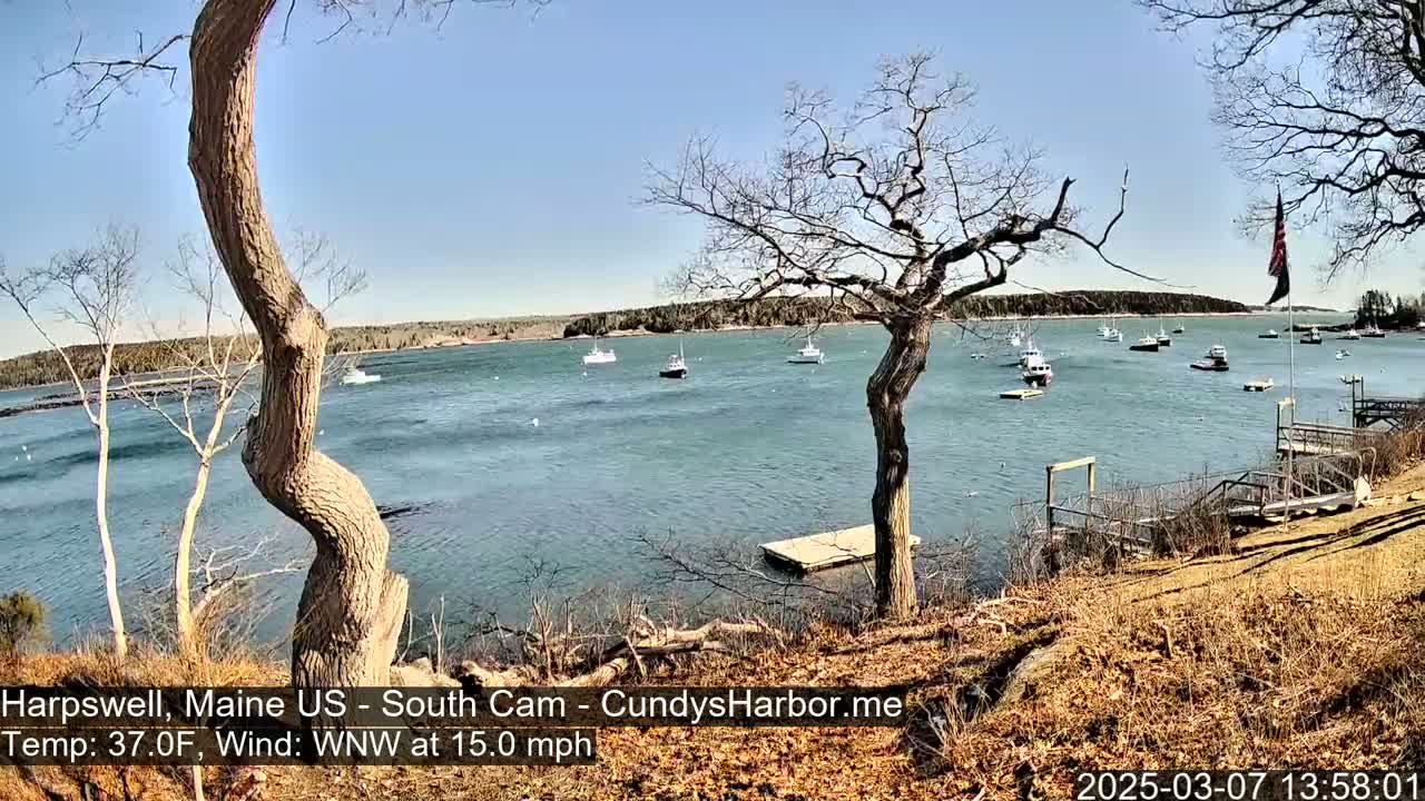 A tranquil harbor scene on a sunny day with several boats at anchor, viewed from a rocky shoreline with bare trees and a small wooden dock.