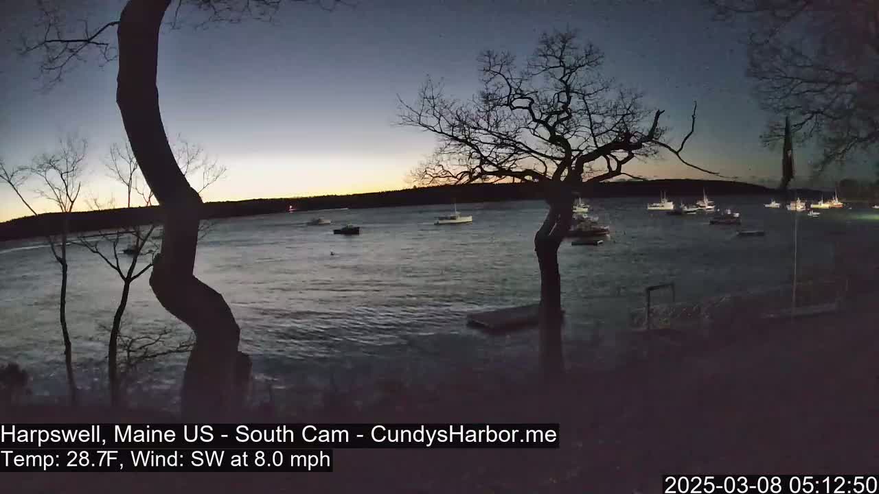 Several boats are moored in a calm body of water at dusk under a mostly clear sky, with bare trees in the foreground.