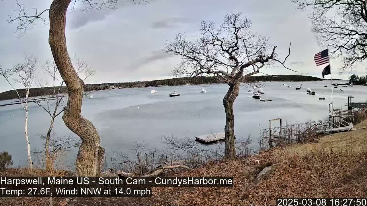 A partly cloudy, cold day with a 14 mph northwest wind shows a harbor with several boats, viewed from a rocky shoreline with leafless trees and a small dock.