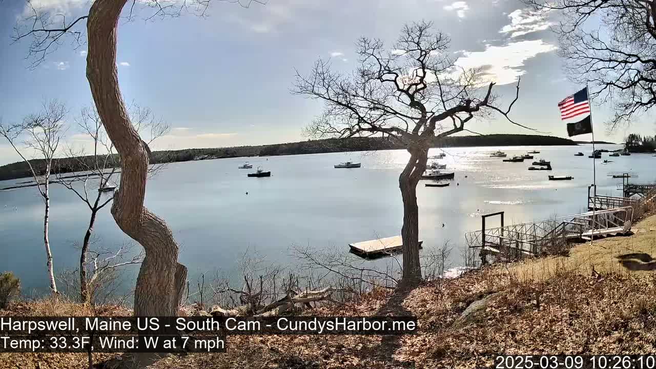 A calm, sunny day reveals a tranquil harbor scene with several boats scattered across the water, viewed from a shoreline with leafless trees and a wooden dock.