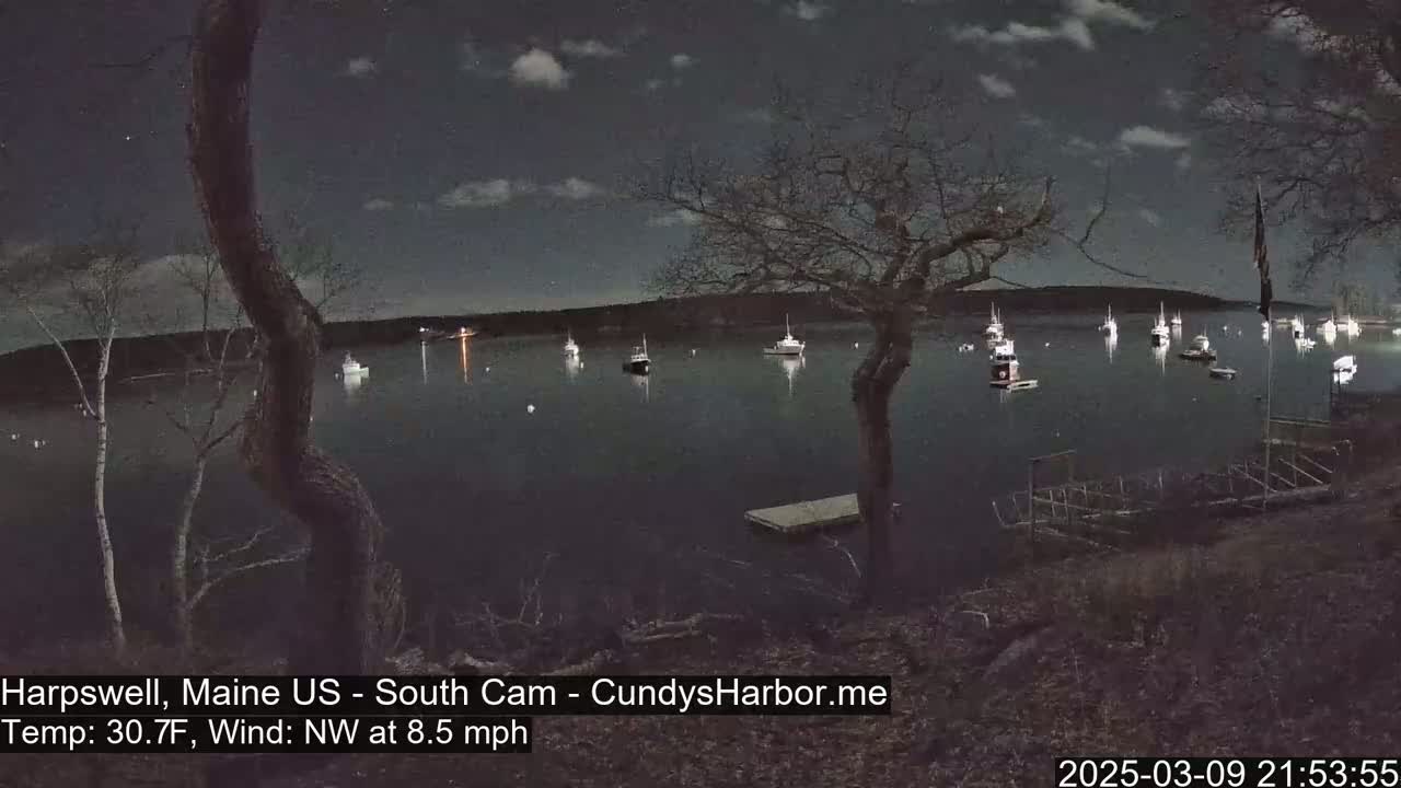 Under a partly cloudy night sky, numerous boats are moored in a calm body of water, viewed from a shoreline with trees and a floating dock.