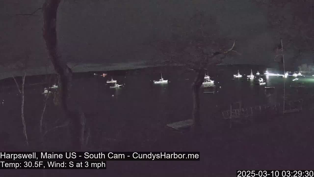 A nighttime view of numerous boats moored in a calm harbor under a dark sky with a slight southerly wind.