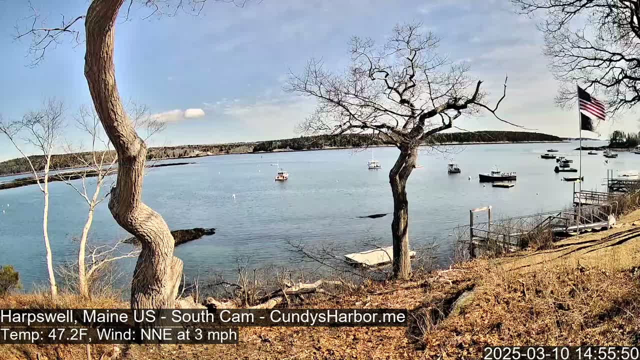 A calm bay with several small boats, viewed from a shoreline with bare trees and a partially visible American flag under a mostly clear, bright sky.