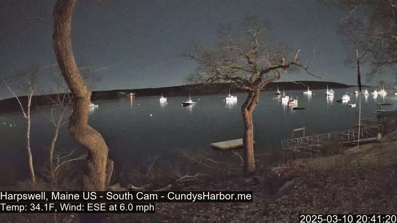 Under a night sky, numerous boats are moored in a calm harbor, observed from a shoreline with bare trees and a small dock.