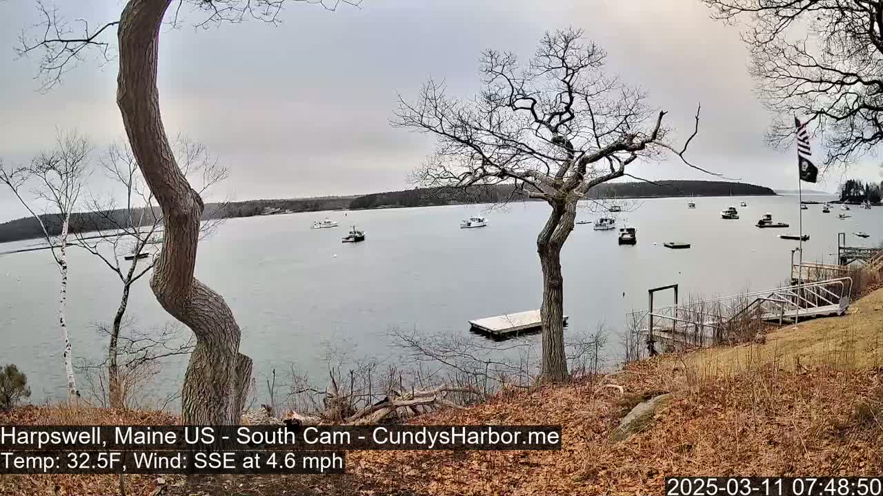 A calm, gray day shows several boats moored in a harbor, viewed from a slightly elevated position with bare trees and brown grass in the foreground.